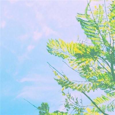 新世纪棋牌下载手机版